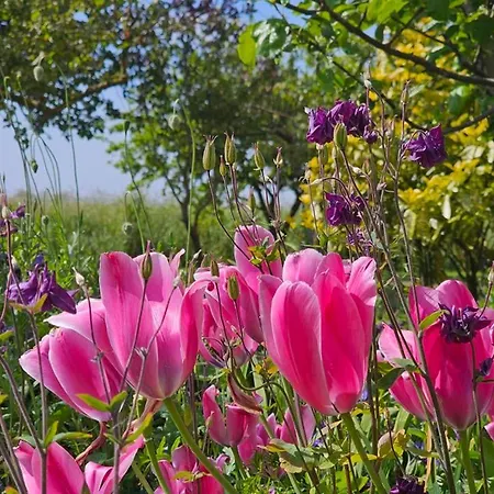 Nordseeperle Apartament *