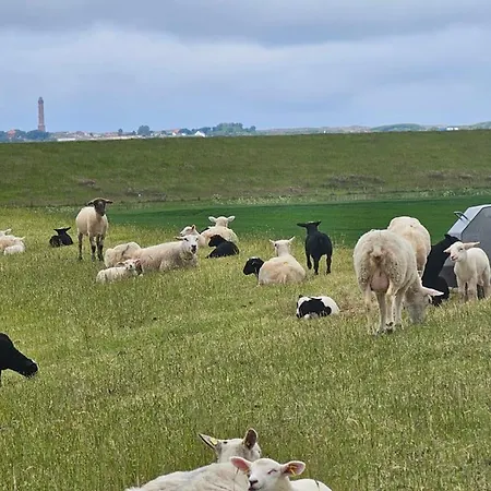 Apartament Nordseeperle *